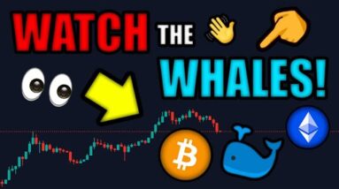 WHALES (QUIETLY) BUYING BITCOIN! 🐳 ETHEREUM to EXPLODE After MERGE in SEPTEMBER!