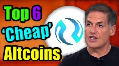 Mark Cuban Reveals Top 6 Low Cap Altcoins He Owns in 2022 | Best Crypto Coins