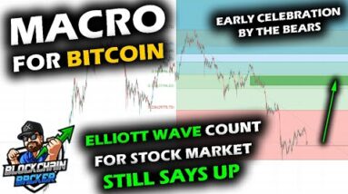 WAVE COUNT FAVORS UP, as Crypto Market and Bitcoin Pause with Stock Market Elliott Waves Deep Dive