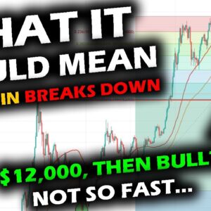 WHAT IF IT BROKE? The Current Bitcoin Price Chart Support and Consequences of Losing it.