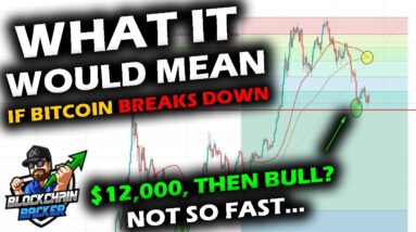 WHAT IF IT BROKE? The Current Bitcoin Price Chart Support and Consequences of Losing it.