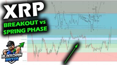 HIGHEST PRICE SINCE JUNE, XRP Price Chart Highs, Wyckoff Accumulation Spring vs Sign of Strength