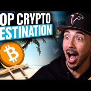 Best New Cardano Protocol (Insane $200 Million Bitcoin Beach)