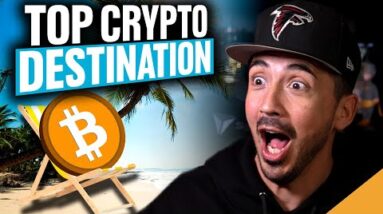 Best New Cardano Protocol (Insane $200 Million Bitcoin Beach)