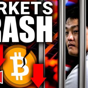 Bitcoin and Stocks Plummet (New Crypto Low Incoming?)