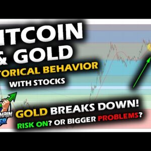 HISTORICAL BEHAVIOR of Bitcoin Price Chart and Stock Market vs Gold, as GOLD BREAKS DOWN TODAY