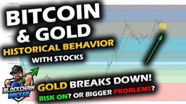 HISTORICAL BEHAVIOR of Bitcoin Price Chart and Stock Market vs Gold, as GOLD BREAKS DOWN TODAY