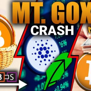 Bitcoin's Biggest Secret! (Mt. Gox Crash Looming)