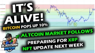 IT'S ALIVE! Bitcoin Price Chart Pops with Altcoin Market Following, XRP NFT Process, Ethereum Merge.