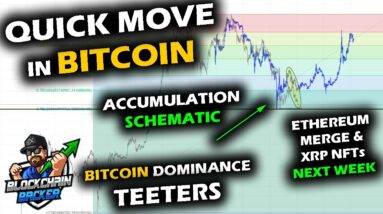 QUICK MOVE TO SUPPORT as Bitcoin Price Chart Falls, Accumulation Schematics, XRP and ETH Next Week