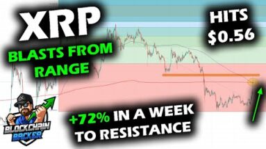 XRP Price Chart Surges to Hit $0.56 with Sign of Strength, Meets 200 Day and Week Moving Average