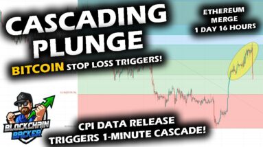 FLASH CRASH in Bitcoin Price Chart, Stocks and Altcoin Market as CPI Print Cascades Stop Losses