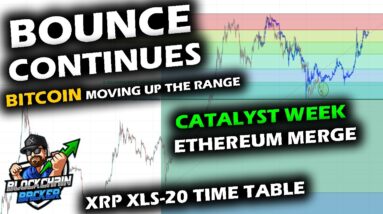 CATALYST NEARS as Price Keeps Rising for Bitcoin Price Chart, Ethereum Merge 2-Days, XRP XLS20 Delay