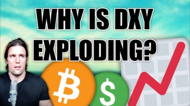 Why US Dollar Index (DXY) is Hitting 20-Year Highs | Bitcoin Expert Explains