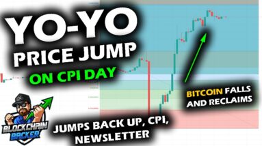 BIG MOVE as Price DUMPS then PUMPS with CPI for Bitcoin Price Chart, Altcoins and Stocks, Newsletter