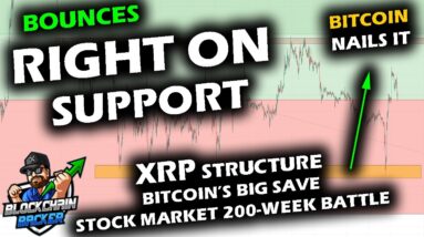 VOLATILITY TO END THE WEEK as Bitcoin Price Chart BOUNCES on Support, Altcoin Market Too, XRP Range