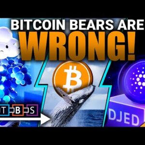 Bitcoin Bears are WRONG! (Exclusive Insight on Cardano Stablecoin)