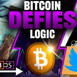 Bitcoin DEFIES Logic! (How to Hustle Money During Bear Market)