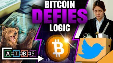 Bitcoin DEFIES Logic! (How to Hustle Money During Bear Market)