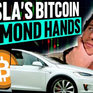 Tesla’s Bitcoin DIAMOND Hands! (Fidelity Offers Ethereum!)