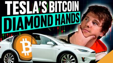 Tesla’s Bitcoin DIAMOND Hands! (Fidelity Offers Ethereum!)