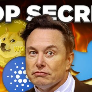 Elon Musk Has TOP SECRET Plans for Dogecoin in 2023 💥🚀