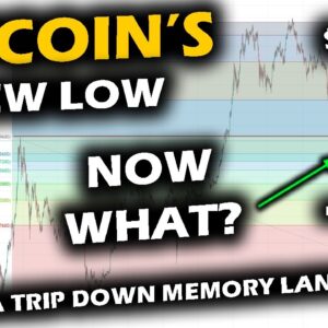 Bitcoin's New Low, Revisiting 2021 and What Does It Mean for the Bitcoin Price Chart?