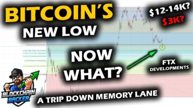 Bitcoin's New Low, Revisiting 2021 and What Does It Mean for the Bitcoin Price Chart?