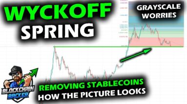 EYES ON SPRING as Altcoin Market Tests, Removing Stable Coins, Bitcoin Price Chart, Grayscale Woes