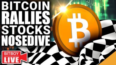 Bitcoin RALLIES as Stocks NOSEDIVE (NEW Dates for XRP)