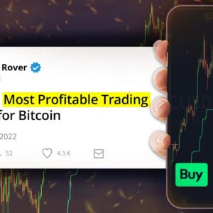 I Found The Most Profitable Trading Indicator