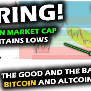 Altcoin Market Cap Bounces with Precision, Wyckoff Spring, Bitcoin Price Chart Elliott Wave FTX USDT