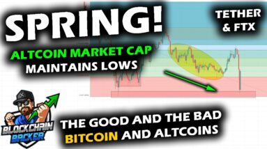 Altcoin Market Cap Bounces with Precision, Wyckoff Spring, Bitcoin Price Chart Elliott Wave FTX USDT