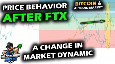 FIRST TIME IN 2022 Bitcoin Deviates from Stock Market and DXY, FTX Collapse, 2014 and 2018 Contrast