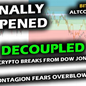 FIRST TIME IN 2022 Bitcoin Price and Altcoin Market DECOUPLE from STOCK MARKET vs FTX LUNA UST