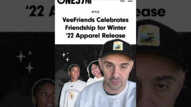 The New VeeFriends Winter'22 Collection is here… (link in the comments)