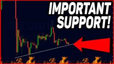 THIS IS THE MOST IMPORTANT BITCOIN SUPPORT!