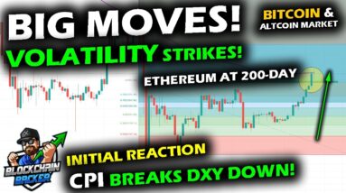 VOLATILITY GALORE as Bitcoin Price Chart, Altcoin Market and DXY React to CPI BEAT! Initial Reaction