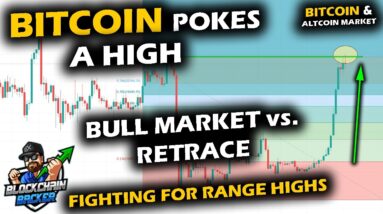 BATTLE RAGES ON as Bitcoin Price Chart Pokes Above FTX Crash, Altcoin Market and BTC Exert At Level