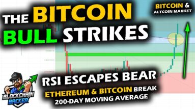 The BULL STRIKES the BITCOIN PRICE CHART, Altcoin Market Takes a Surge, RSI GOES METEORIC