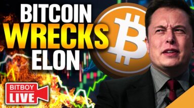 Bitcoin WRECKS Elon (Crypto Bull Trap WARNING!)