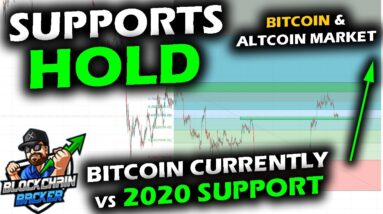 VOLATILITY DAY in Crypto Markets as Bitcoin Price Chart Similar 2020 Support, Altcoin Market 200-MA