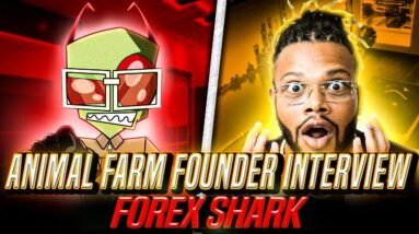 [HD] WORLDWIDE - 2023: ANIMAL FARM FOUNDER INTERVIEW | FOREX SHARK | PIGGY PLINKO