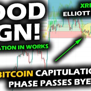 A QUICK RISE for the Bitcoin Price Chart, XRP and Altcoin Market, Diving Into Accumulation Behavior