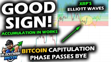 A QUICK RISE for the Bitcoin Price Chart, XRP and Altcoin Market, Diving Into Accumulation Behavior