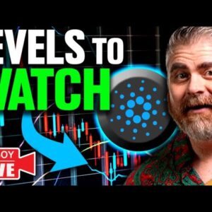 $2.5 BILLION Cardano Activity! (CRUCIAL Bitcoin Levels to Watch)