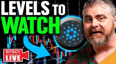 $2.5 BILLION Cardano Activity! (CRUCIAL Bitcoin Levels to Watch)